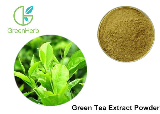 Batteri anti- del tè verde di 100% della polvere pura dell'estratto per i cosmetici/alimento