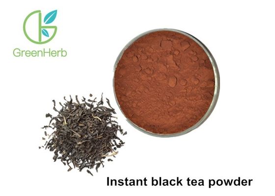 Polvere istantanea dell'estratto del tè nero della polvere del tè nero di camellia sinensis